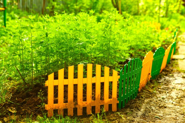 30 Low Maintenance and Easy-to-Install “Garden Edging” Ideas for Every Budget