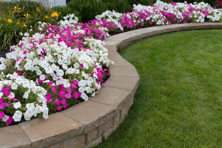 30 Low Maintenance and Easy-to-Install “Garden Edging” Ideas for Every Budget
