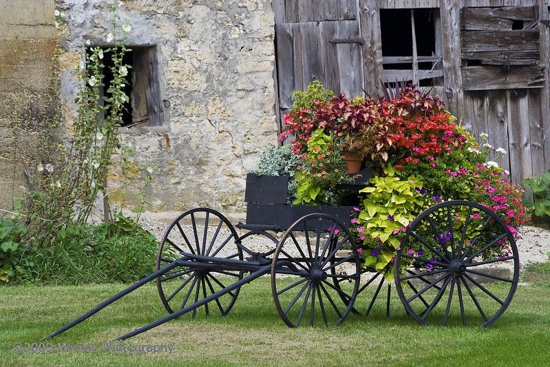 Heart-warming garden decoration ideas with wheelbarrows and wheels