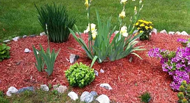 24 Beautiful Red Mulch Landscaping Ideas To Add More Color and Texture
