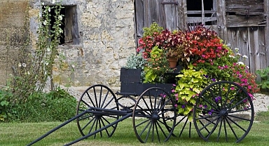 Heart-warming garden decoration ideas with wheelbarrows and wheels