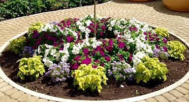 15 beautiful garden ideas to beautify your front yard