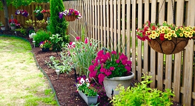 26+ Amazing Inspirations to Beautify Your Bare Walls and Fences!