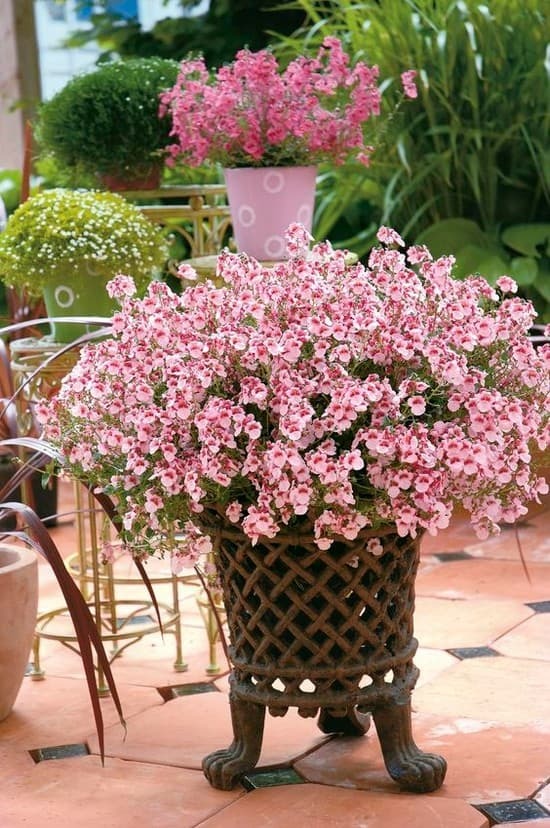 15 beautiful garden ideas to beautify your front yard