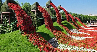 We added a gorgeous Portulaca waterfall garden to enhance our small garden