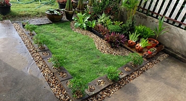 10 beautiful garden ideas to decorate the entrance of the house