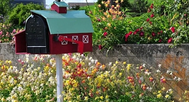 23 Inspiring Mailbox Landscaping Ideas for a Perfect Entry
