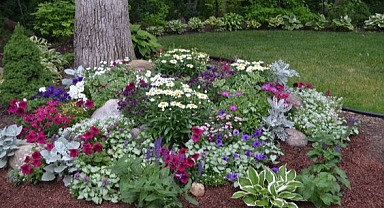 29+ Easy Spring Garden Projects To Spice Up Your Outdoor Spaces