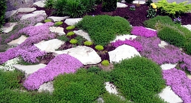 DIY Stone Decor That Will Make Your Garden Look Like a Pro