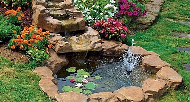 The Most Beautiful Water Garden Ideas