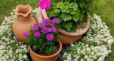 27 DIY Patio Garden Landscaping Ideas
