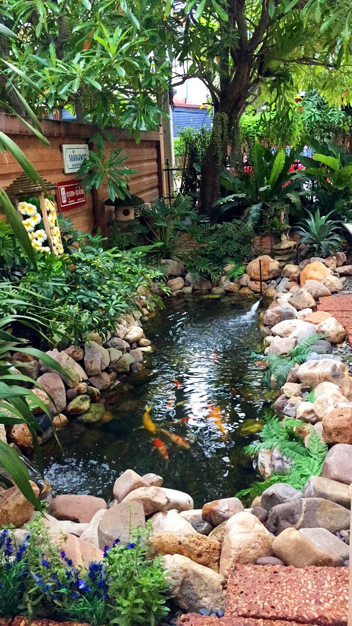 20+ Awesome Ideas Create a Cool and Relaxıng Water Garden