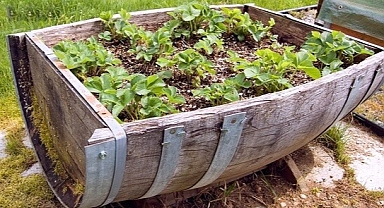 25 Clever DIY ideas to reuse old wine barrels in garden and yard decoration