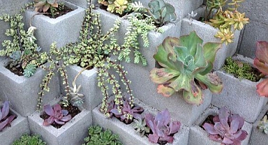 26 Creative Tiny Garden Ideas