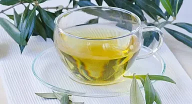 Funda Yaprağı Çayı Zayıflatır Mı?