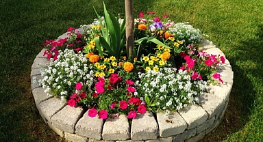 13 Awesome landscaping ideas to Beautify Your Front Yard!