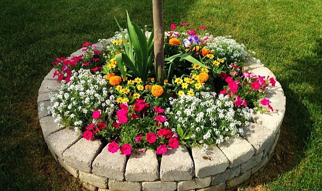13 Awesome landscaping ideas to Beautify Your Front Yard! - Garden ...
